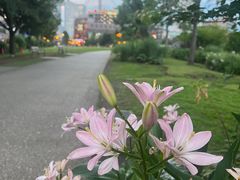 -横滨红砖仓库1号馆