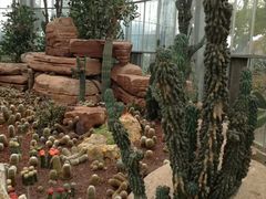 -南通洲际绿博园