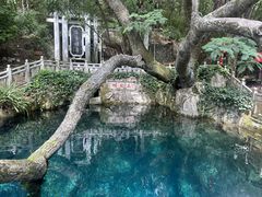 -蝴蝶泉公园