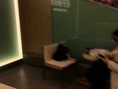 -大龙山(地铁站)