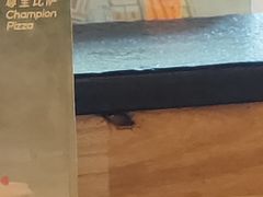 -尊宝比萨(可园店)