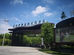 -黄海国家森林公园