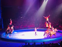 -珠海横琴长隆《卡卡虎奇遇记》