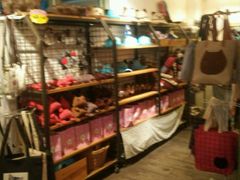 -猫咪博物馆(顶澳仔猫街店)