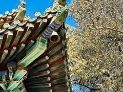 -潭柘寺景区