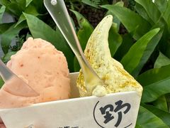 -野人先生Gelato(上海长宁龙之梦店)