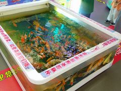 -天河沃尔玛