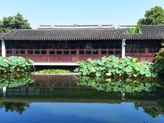 -艺圃