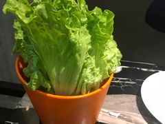 -古乐牛香·鲜牛肉牛杂火锅(五一中路店)