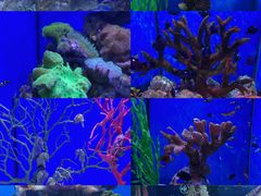 -多彩贵州城极地海洋世界