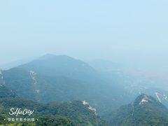 -宴全牛粤来越牛潮汕鲜牛肉火锅(海州万达广场店)
