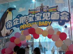 -帝企鹅自助餐厅•儿童岛•真企鹅(长隆企鹅酒店)