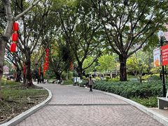 -东风公园