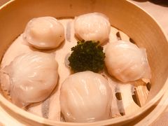 -陶陶居海鲜酒家(新马路店)