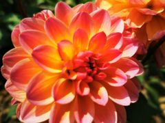 -徐家汇源景区-衡山公园