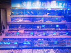 -青蓬蒸汽海鲜·深圳老字号·团建聚会(壹方城店)