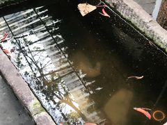 -浮何烤铺(桐梓林店)