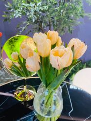 -花隐·美芙炫海菲秀皮肤管理中心