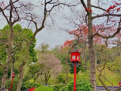 -广州中山纪念堂