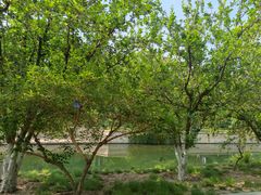 -元大都城垣遗址公园