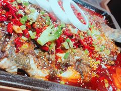 -鱼酷活鱼烤鱼(沈阳大悦城店)