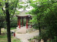-云岗森林公园