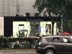 -BLACKSWAN黑天鹅(环球店)