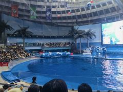 -海合安成都极地海洋公园