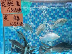 -蚝得喜海鲜(东城店)