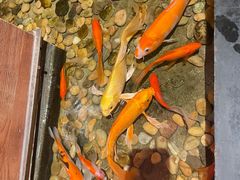 -颐和•海鲜砂锅粥•啫啫煲(奥林匹克广场店)