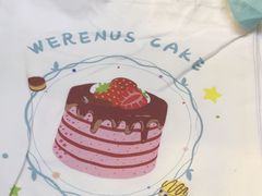 -维尔纳斯·生日蛋糕动物奶油冰淇淋蛋糕(人大店)