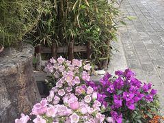 -慢丽江·云南野生菌土鸡锅(付家庄店)