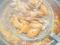 -禄婶鸡煲·打边炉