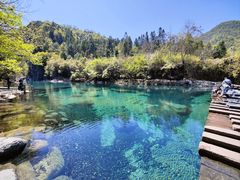 -石台牯牛降景区