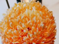 -香乐园·淮扬菜中餐厅·Shang Garden(福田香格里拉店)