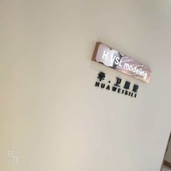 -华卫思理轻奢造型