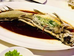 大白鱼-赵记老铺(市府恒隆广场店)