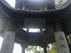 -杏花村文化旅游区