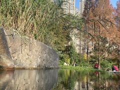 -成都市活水公园