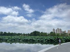 -武汉动物园