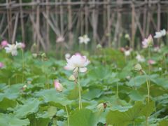 -九江市周敦颐纪念馆