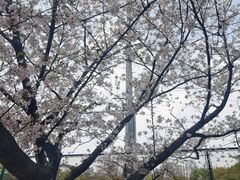 -同济大学本部学苑饮食广场