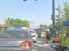 -南汇新城海滩