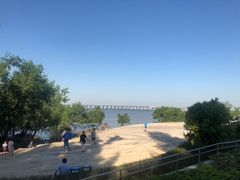 -宝安西湾红树林湿地公园