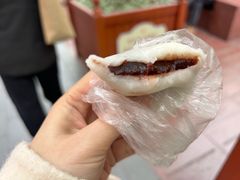 -沈大成(南京东路店)
