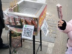 -北京国子监胡同
