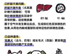 -申普宠物医院(总院)