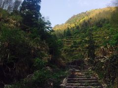 -林坑古村落