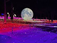 -青龙湖公园