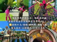 -哈尔滨波塞冬海底世界